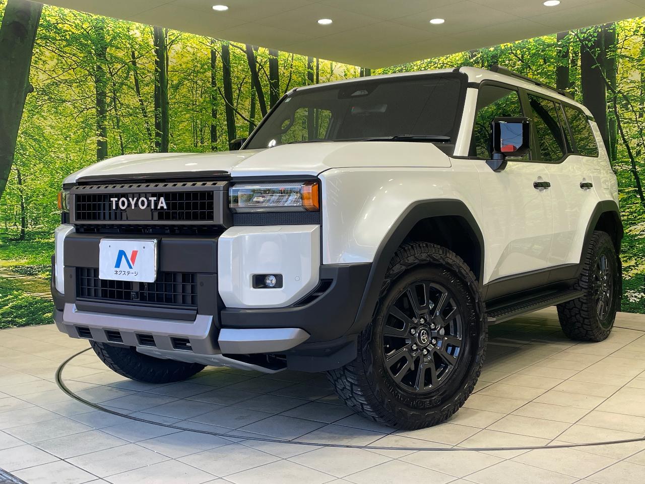 2025 Toyota LandCruiser 250 VX