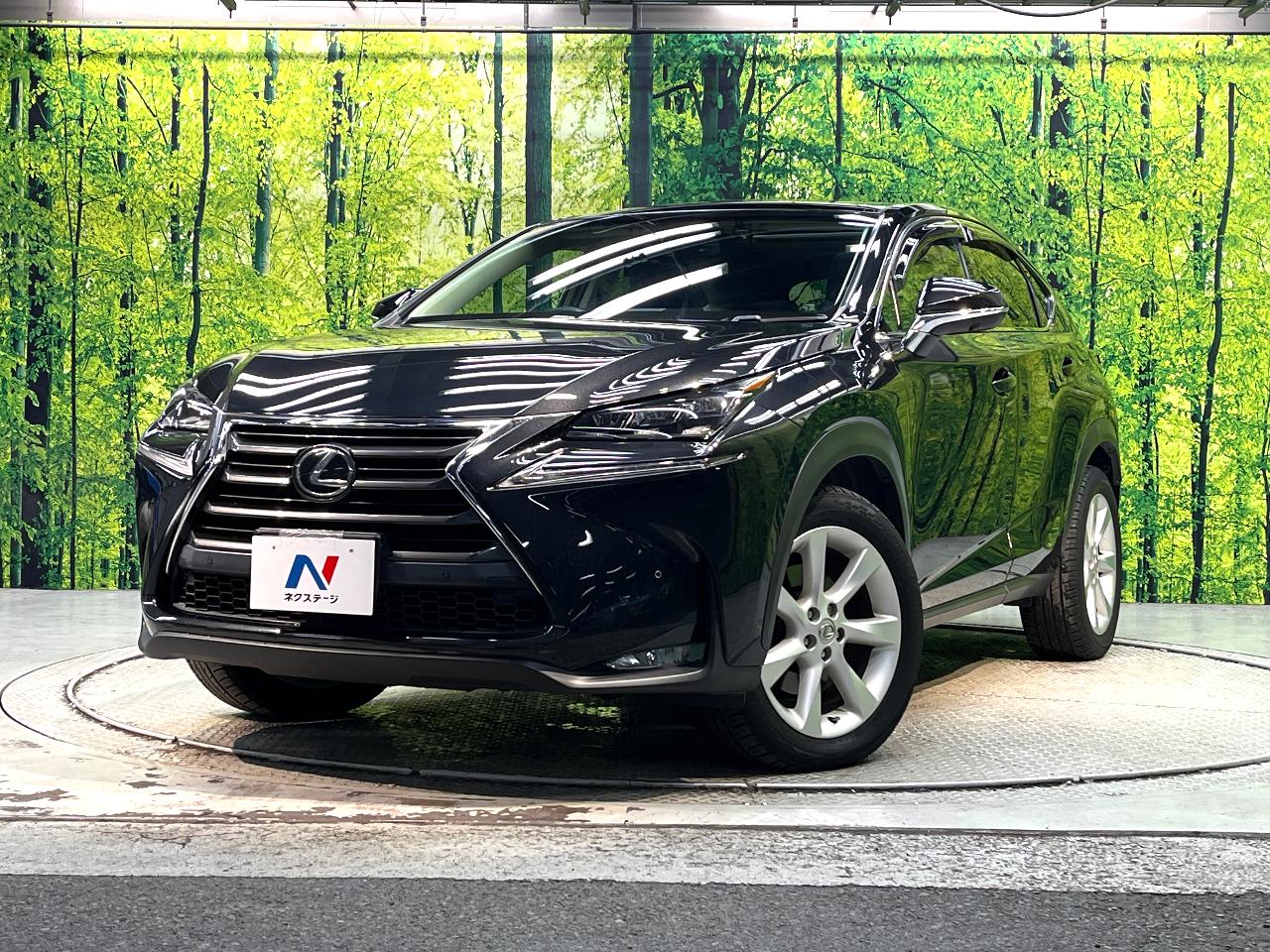 2017 Lexus NX NX200t I Package