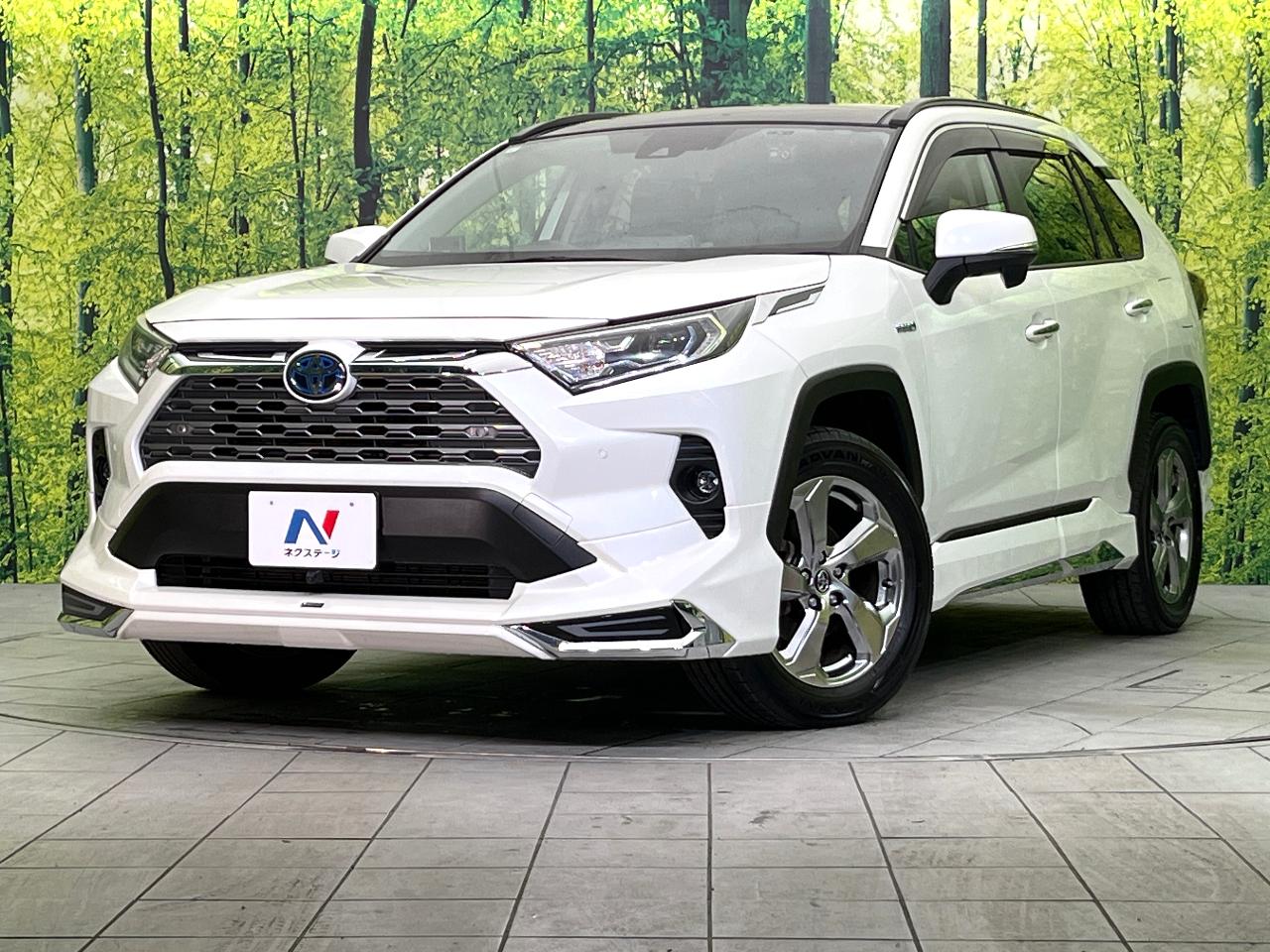 2019 Toyota RAV4 Hybrid Hybrid G