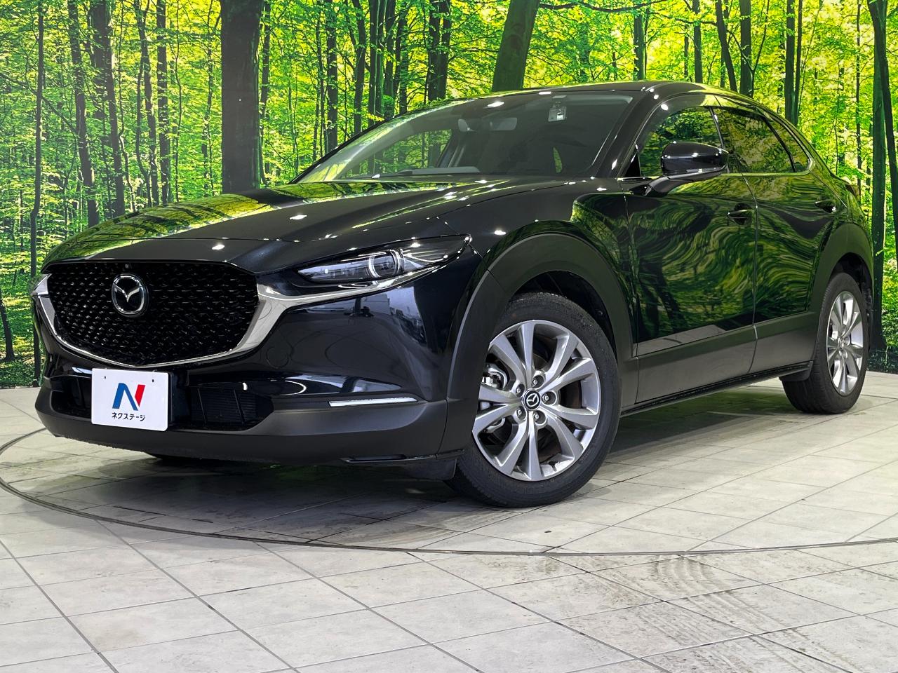 2019 Mazda CX-30 20S Proactive Touring Selection