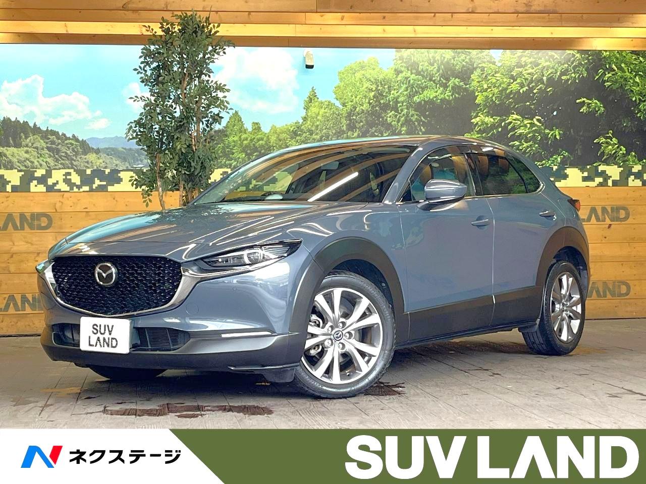 2019 Mazda CX-30 20S Proactive