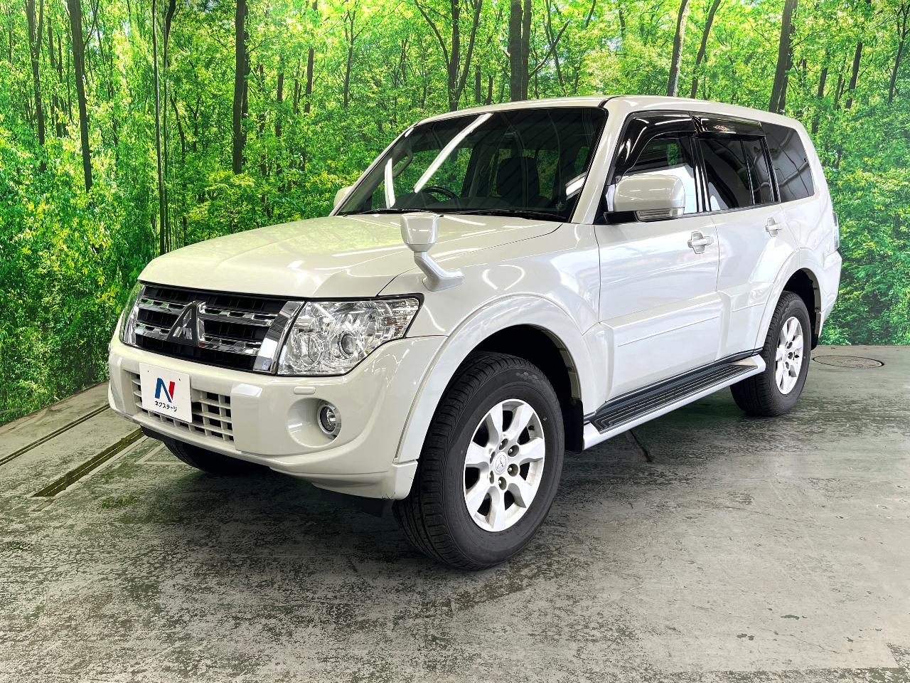 2013 Mitsubishi Pajero 5D Long Exceed