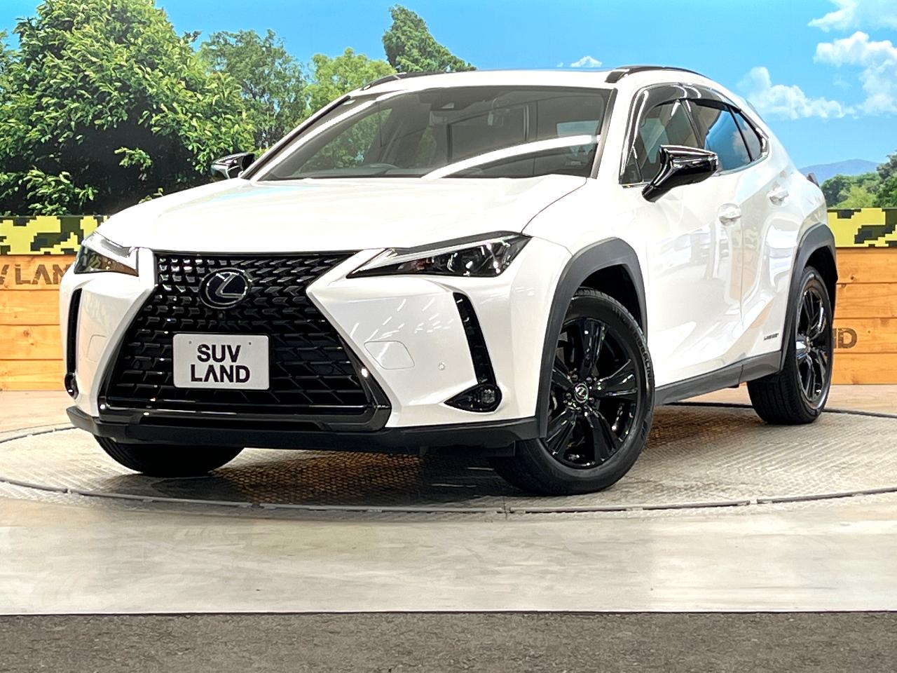2020 Lexus UX Hybrid UX250h Urban Elegance Special Edition