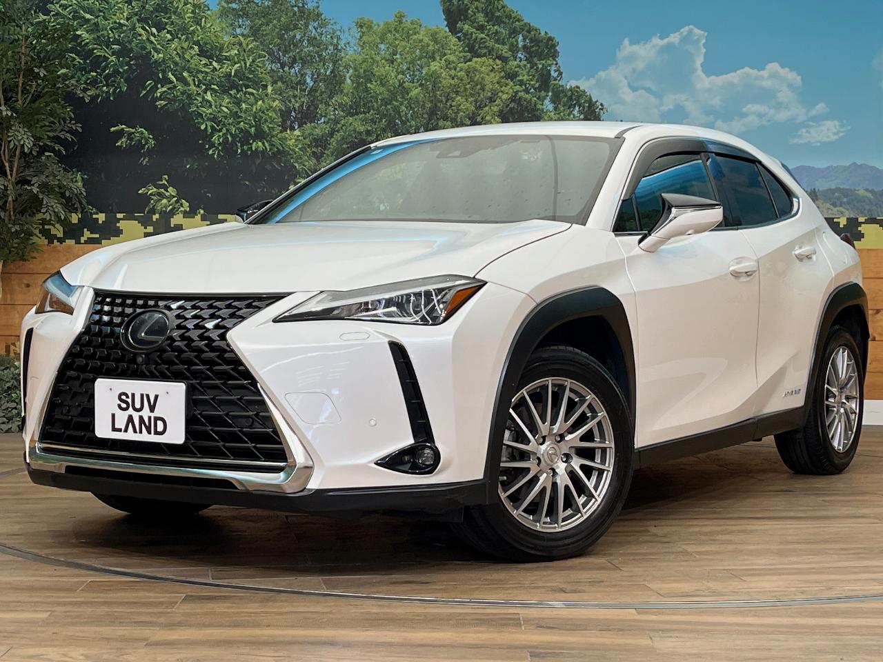 2020 Lexus UX Hybrid UX250h VERSION C
