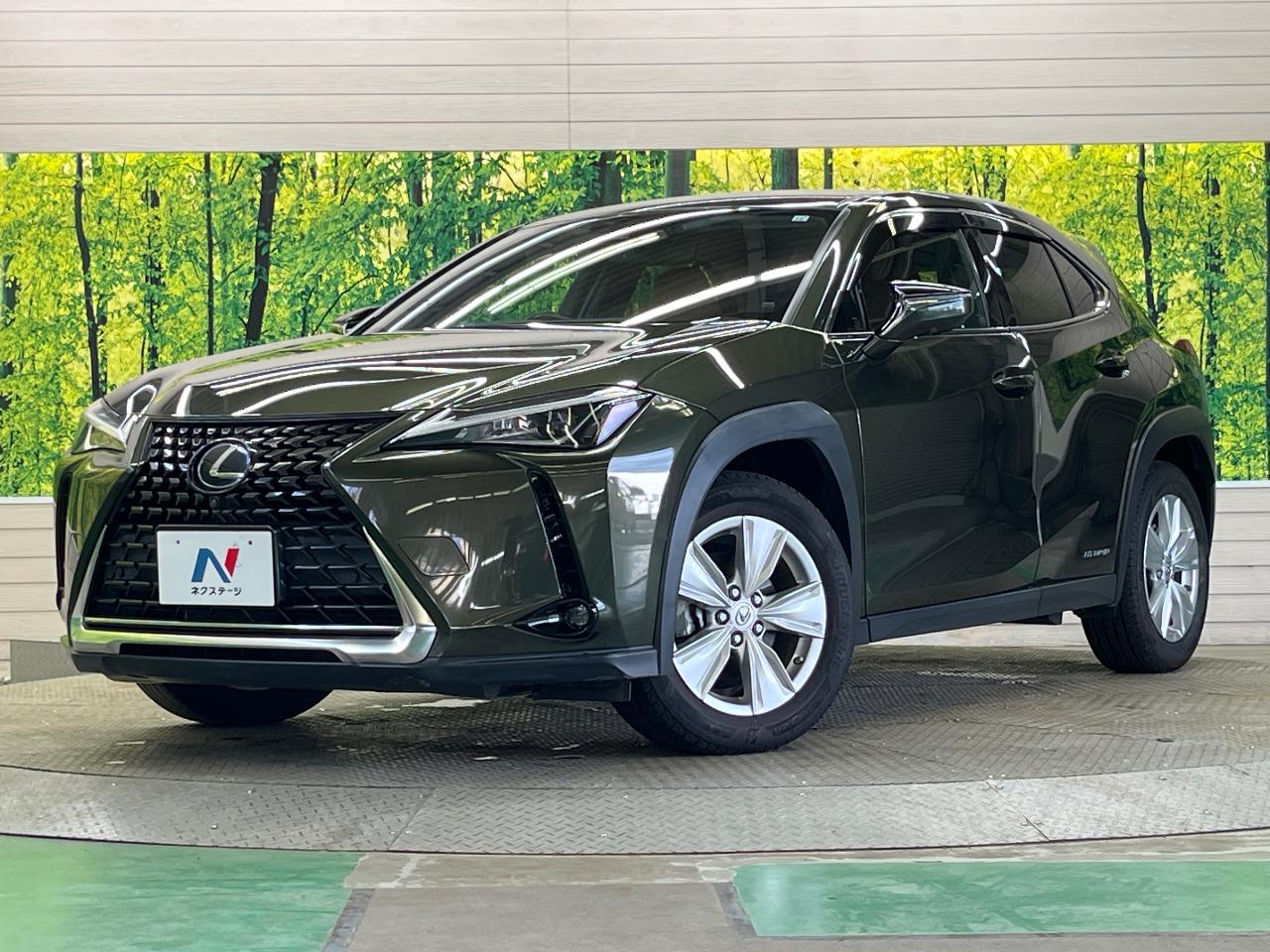 2019 Lexus UX Hybrid UX250h VERSION C