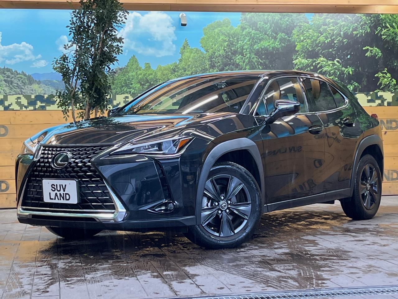 2021 Lexus UX UX200 Version C