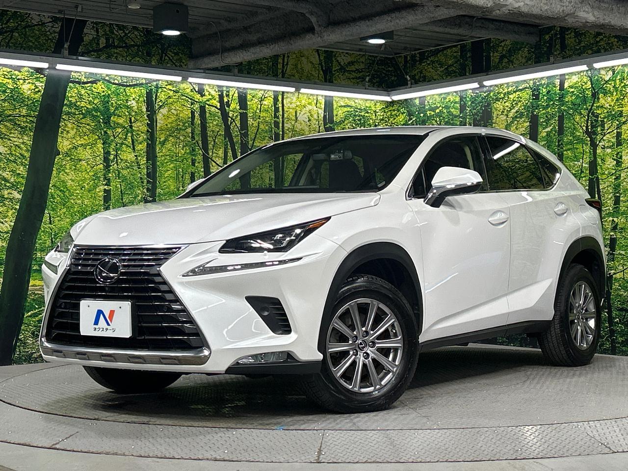 2018 Lexus NX NX300
