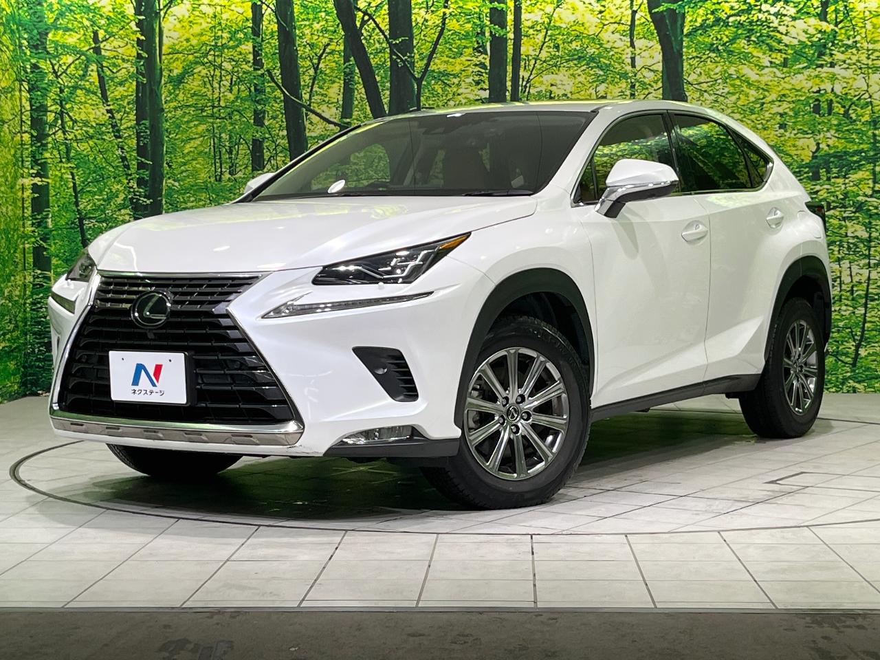2020 Lexus NX NX300i Package
