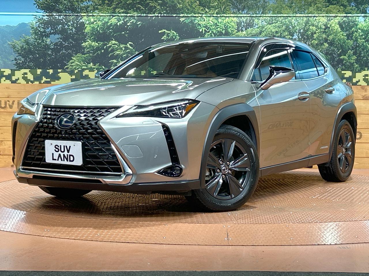 2019 Lexus UX Hybrid UX250h VERSION C