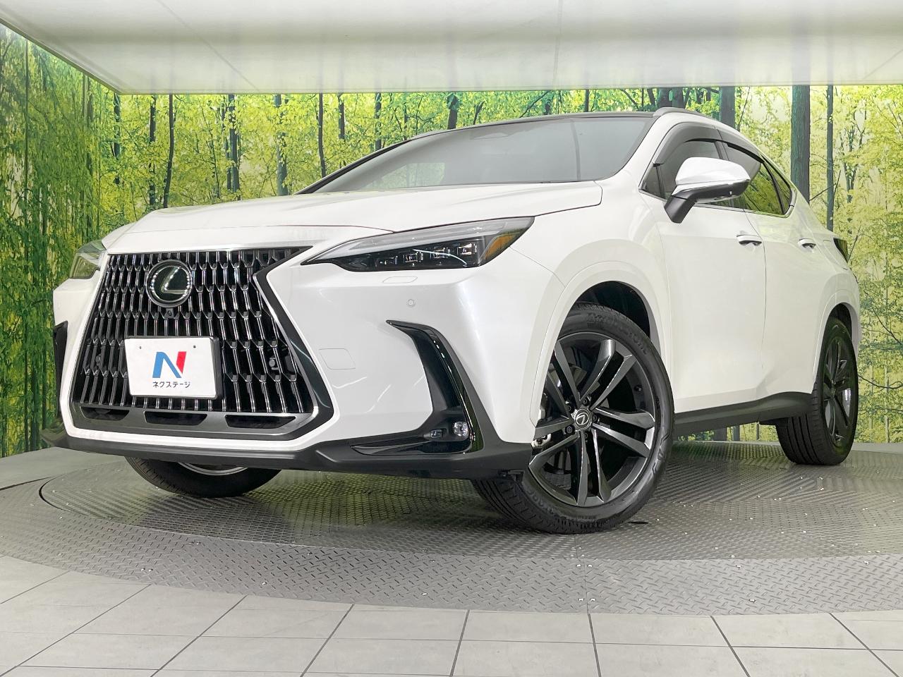 2025 Lexus NX NX250 Version L