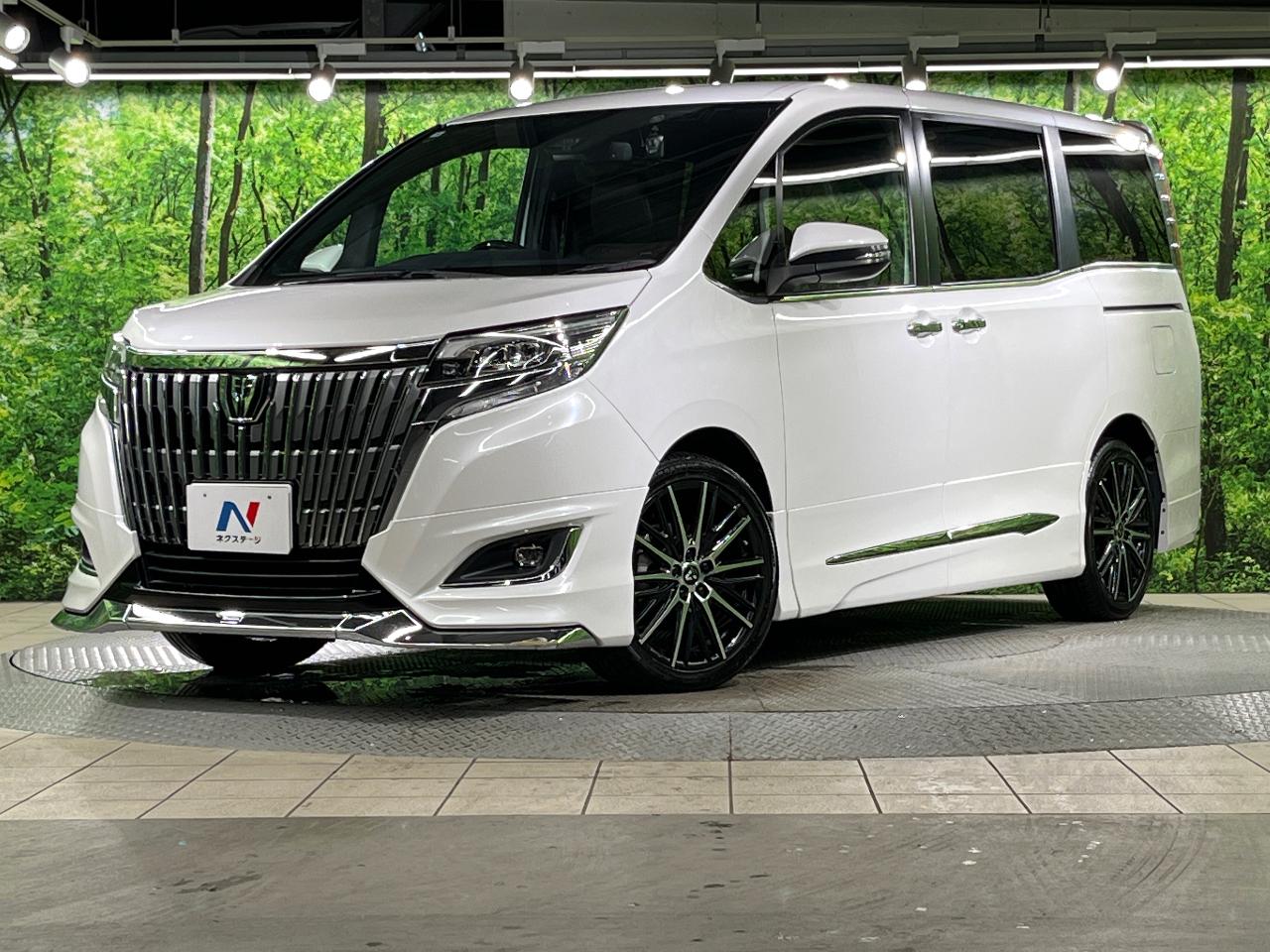 2018 Toyota Esquire Gi Premium Package