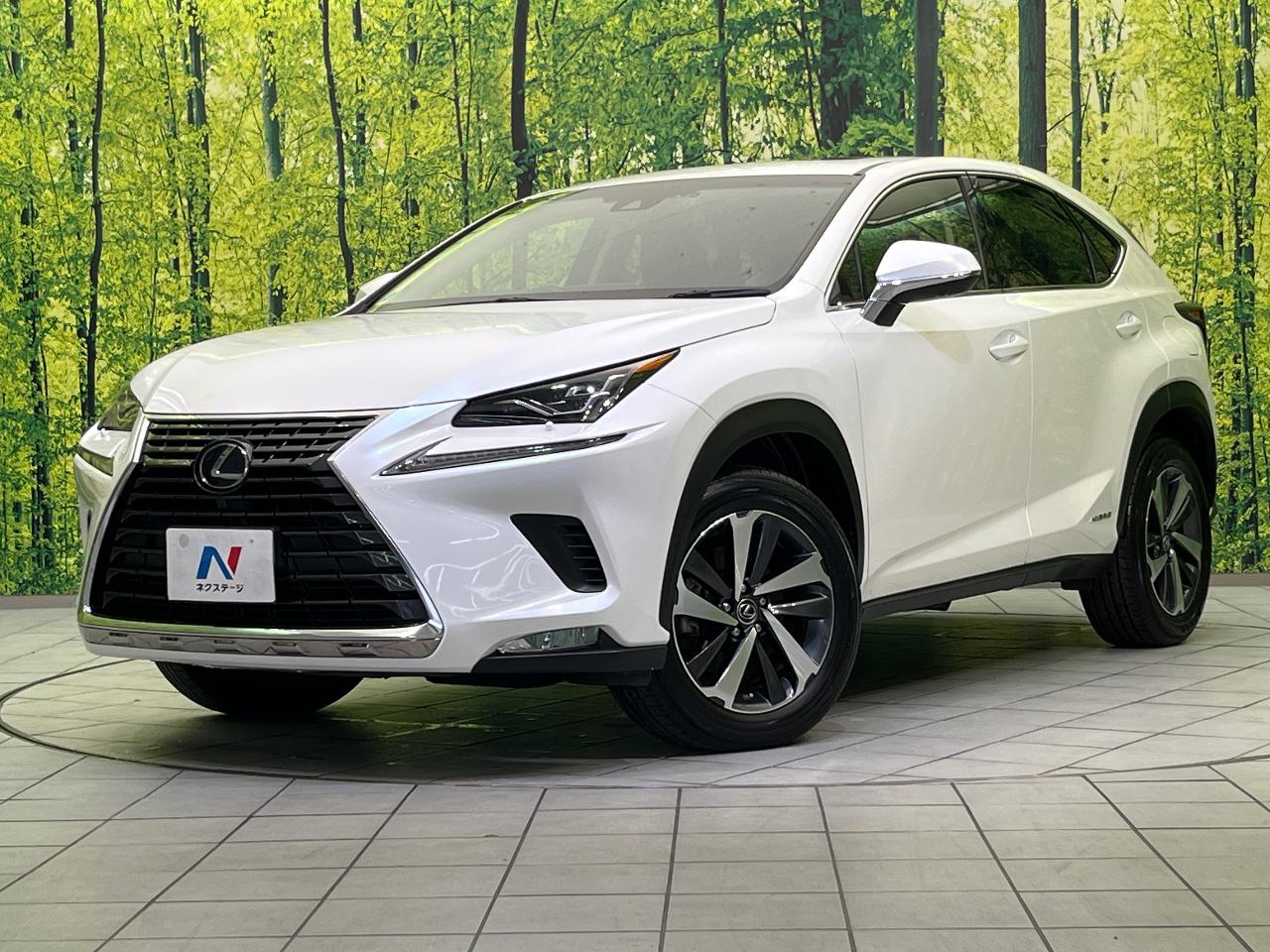 2018 Lexus NX Hybrid NX300h Version L
