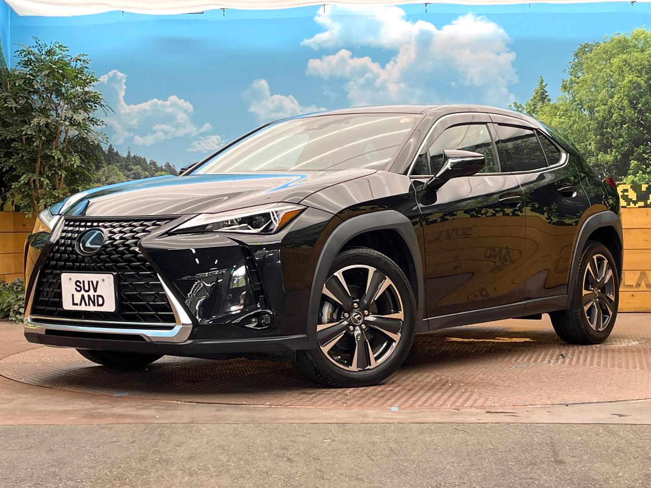 2019 Lexus UX UX200 Version C