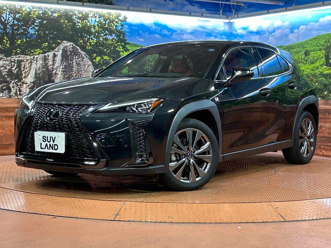 2023 Lexus UX UX200 F Sport