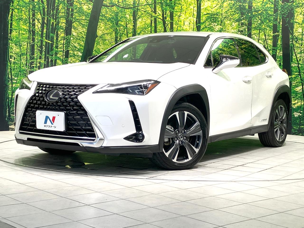 2019 Lexus UX Hybrid UX250h VERSION L