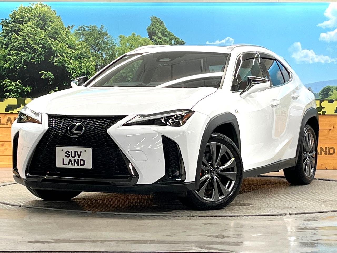 2024 Lexus UX Hybrid UX300h F SPORT