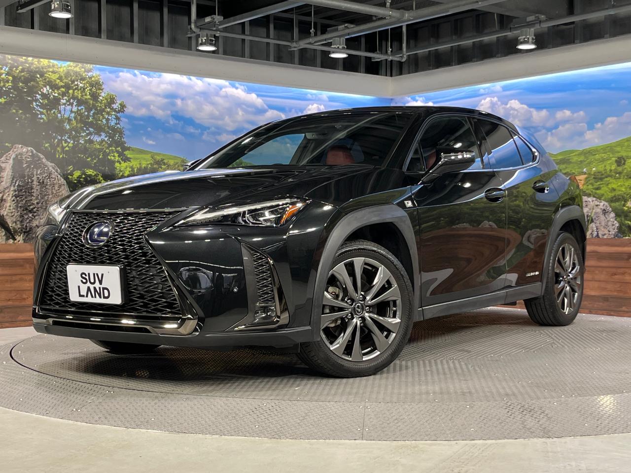 2020 Lexus UX Hybrid UX250h F SPORT