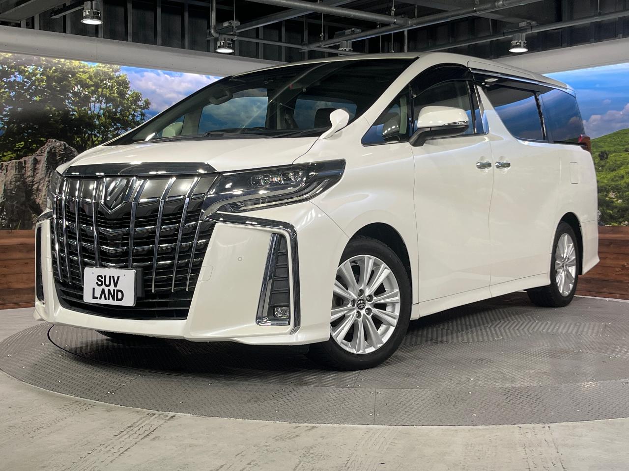 2019 Toyota Alphard 2.5S A Package