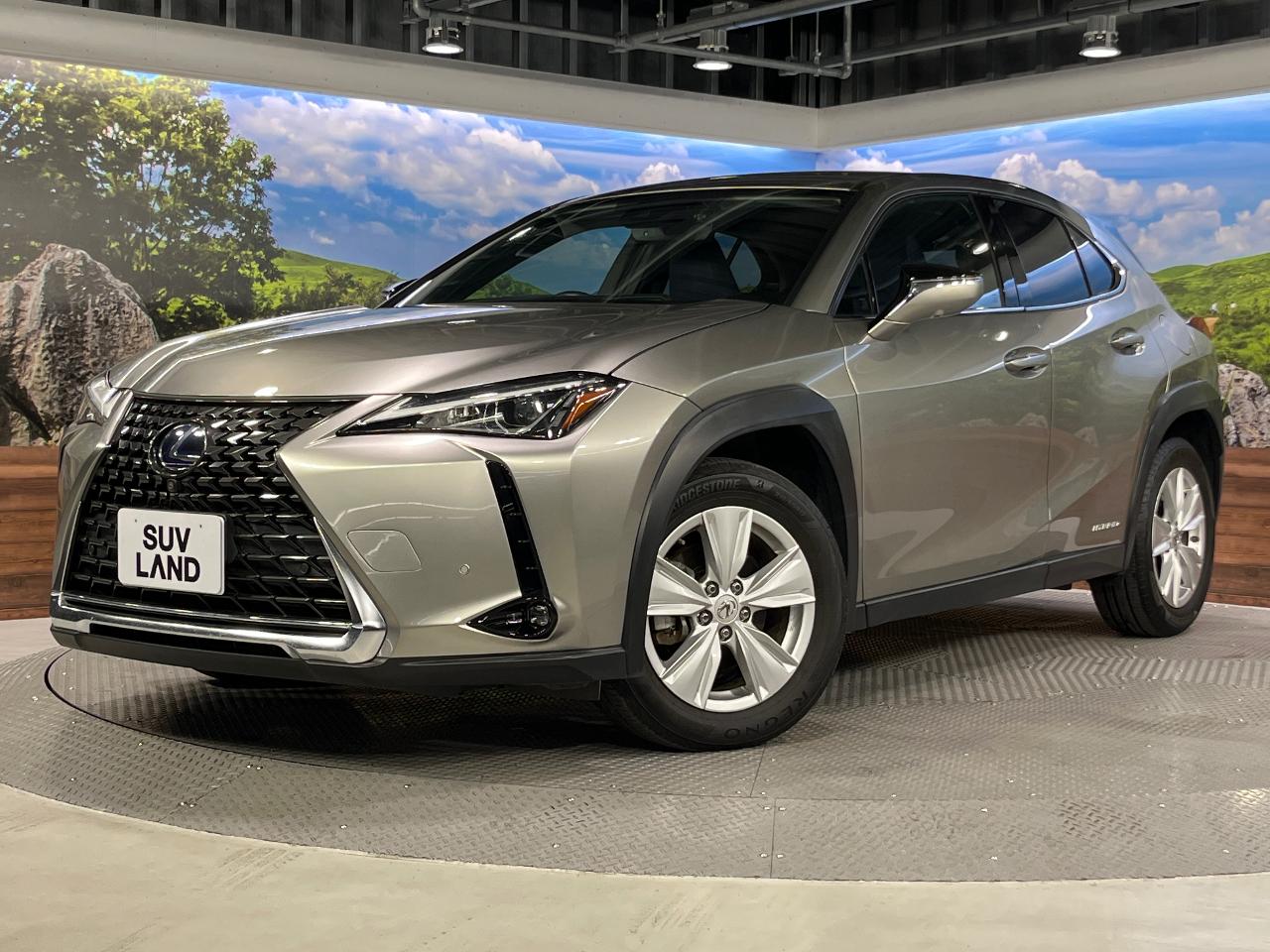 2019 Lexus UX Hybrid UX250h VERSION C