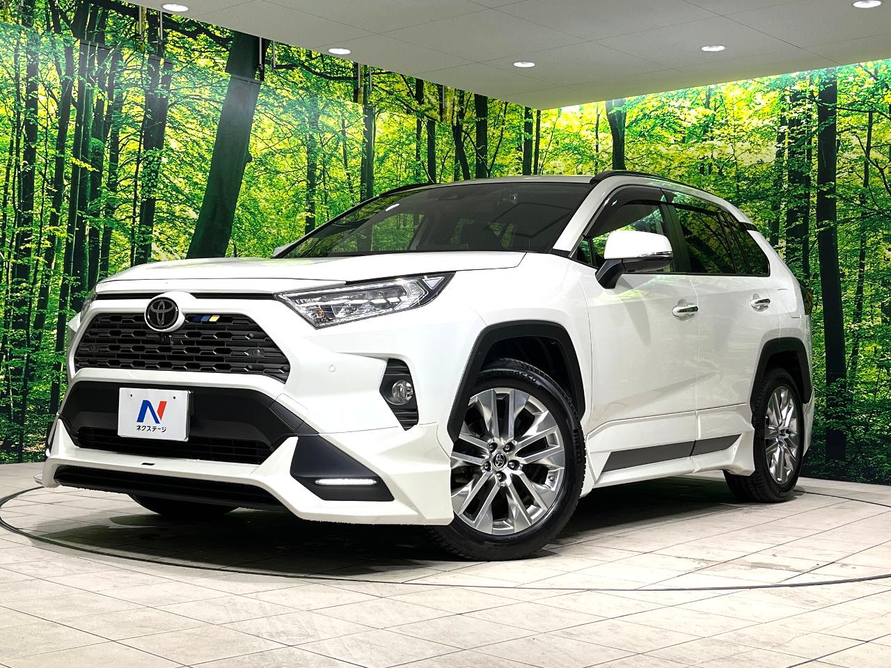 2021 Toyota RAV4 5D G Z Package
