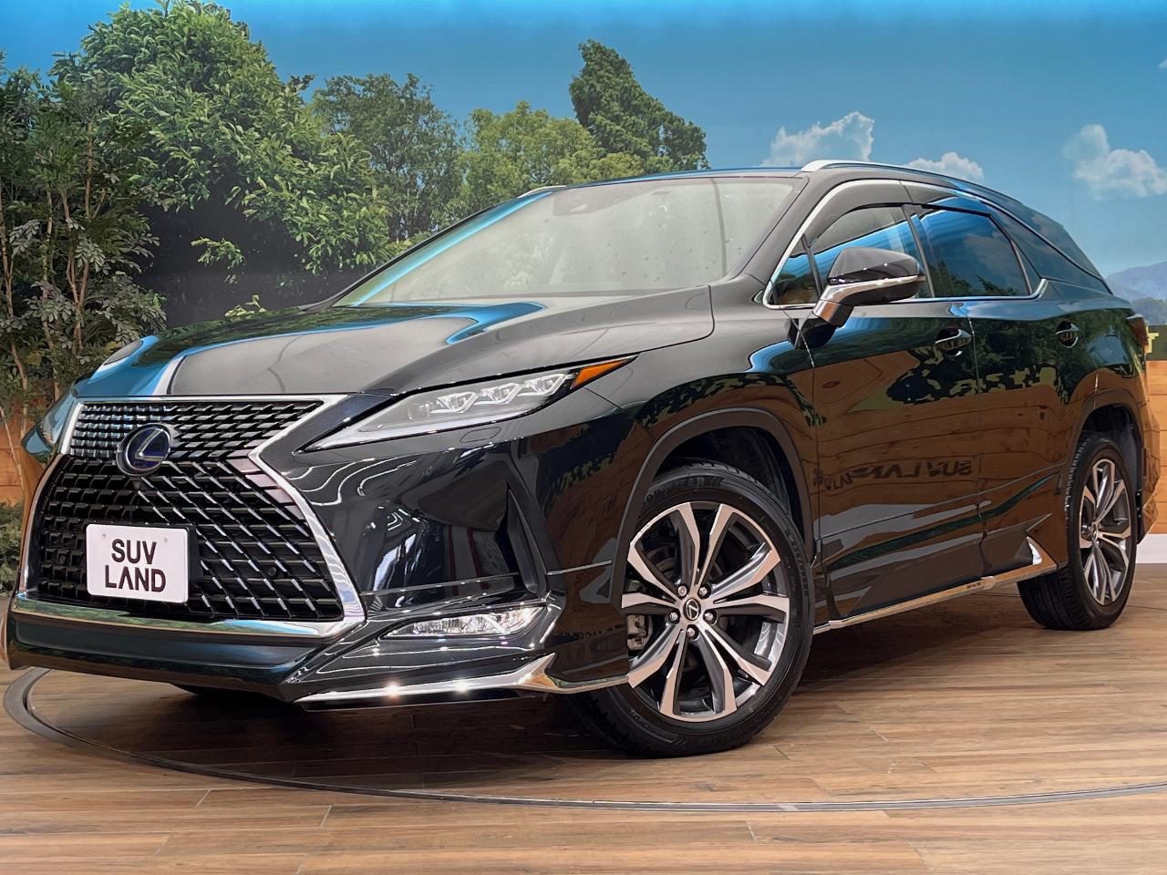 2020 Lexus RX Hybrid RX450hL
