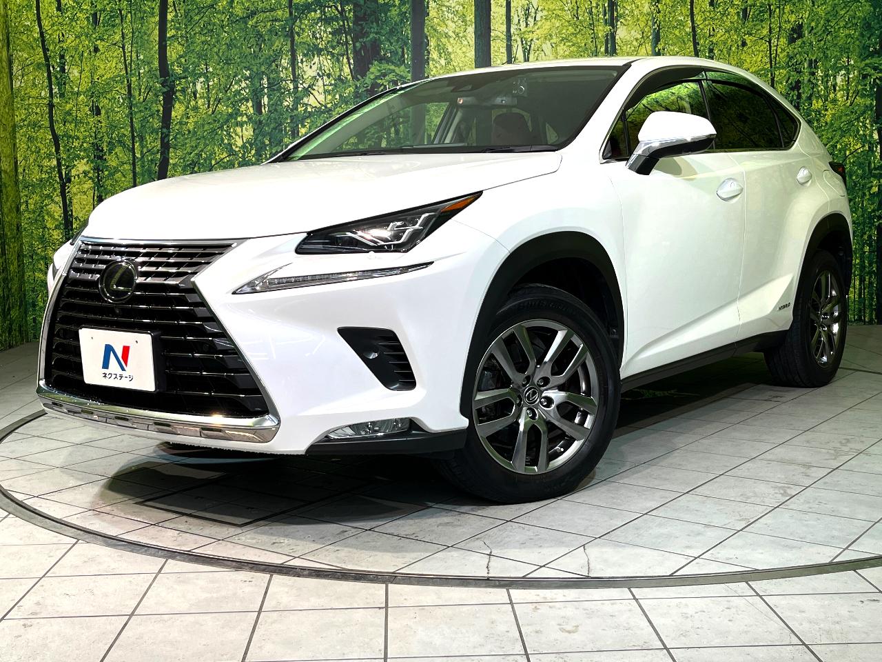 2020 Lexus NX Hybrid NX300h Version L