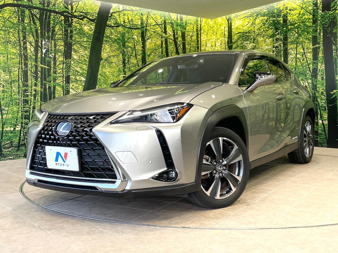 2021 Lexus UX Hybrid UX250h VERSION L