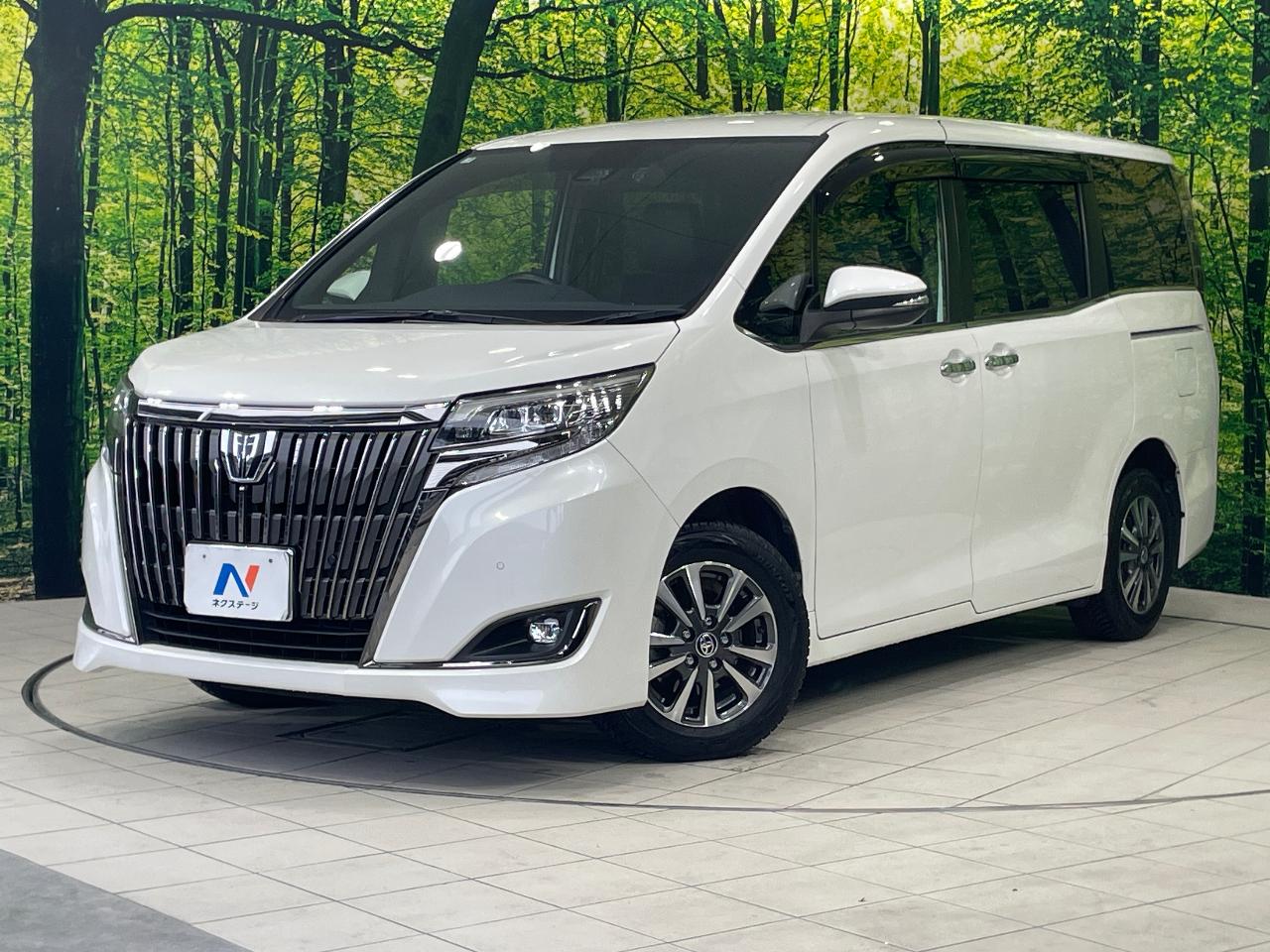 2019 Toyota Esquire Gi Premium Package Black Tailored