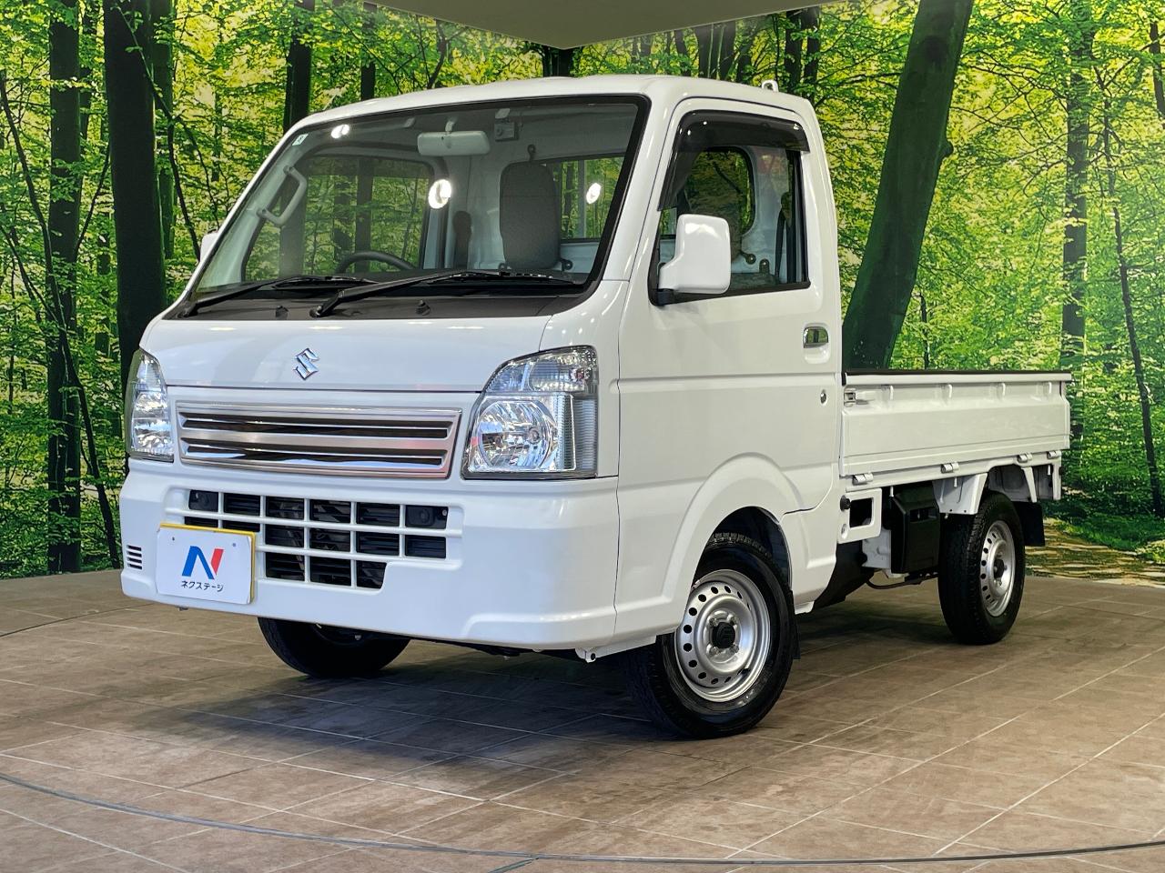 2019 Suzuki Carry Truck KC Special