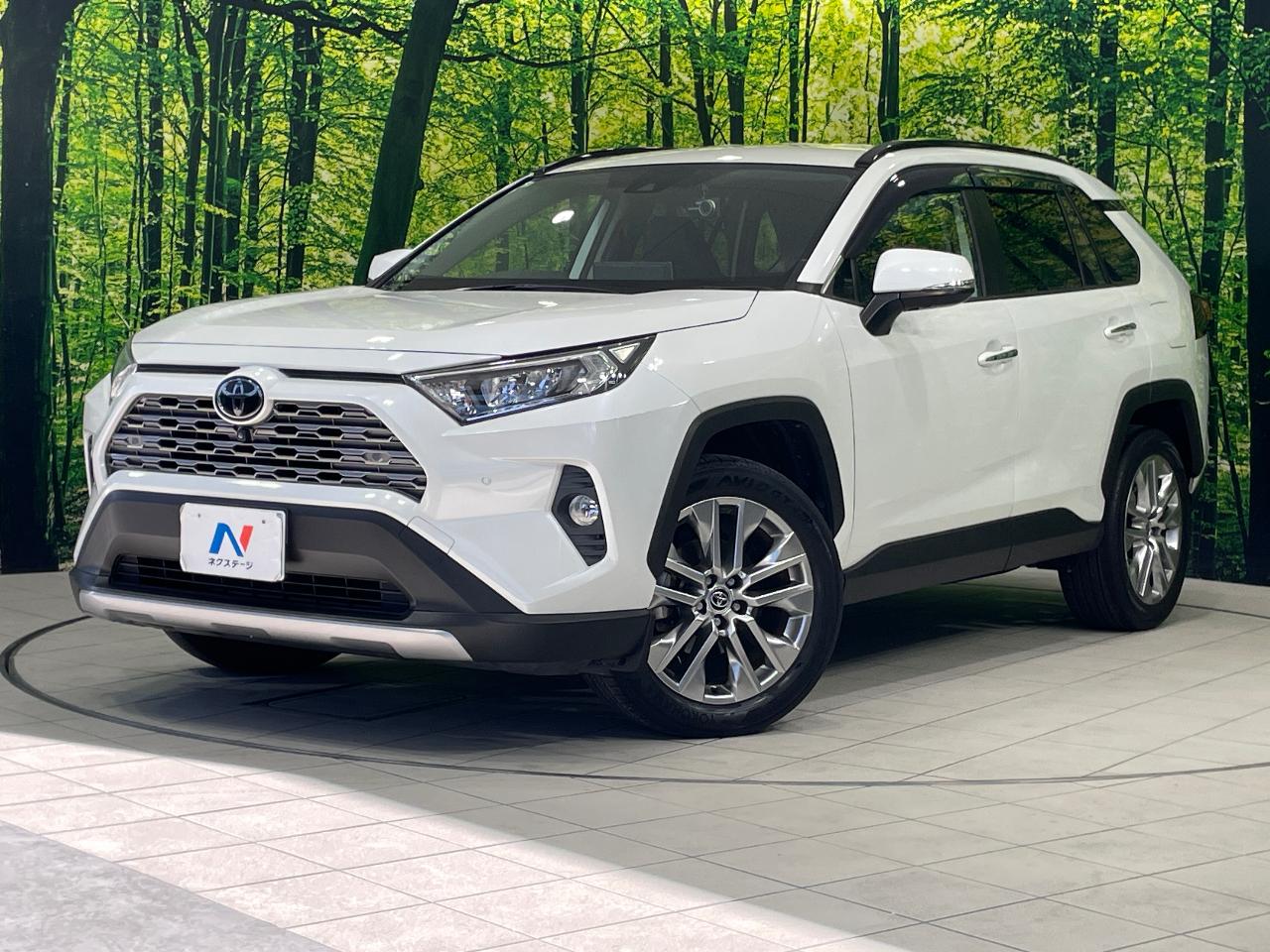 2021 Toyota RAV4 5D G Z Package