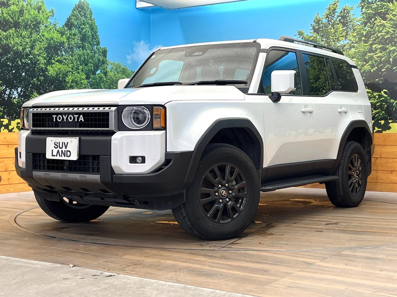 2024 Toyota LandCruiser 250 VX