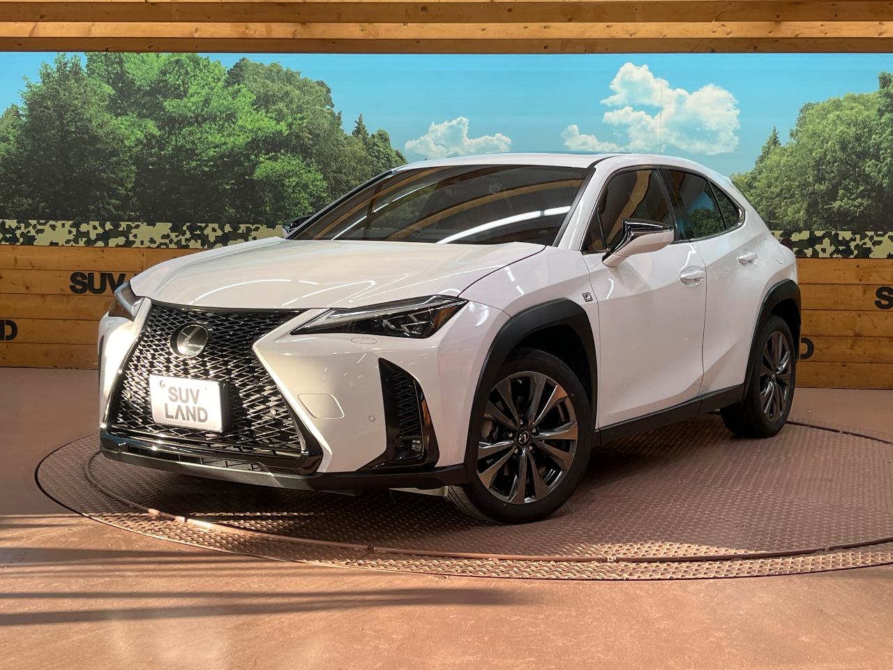 2023 Lexus UX Hybrid UX250h F SPORT