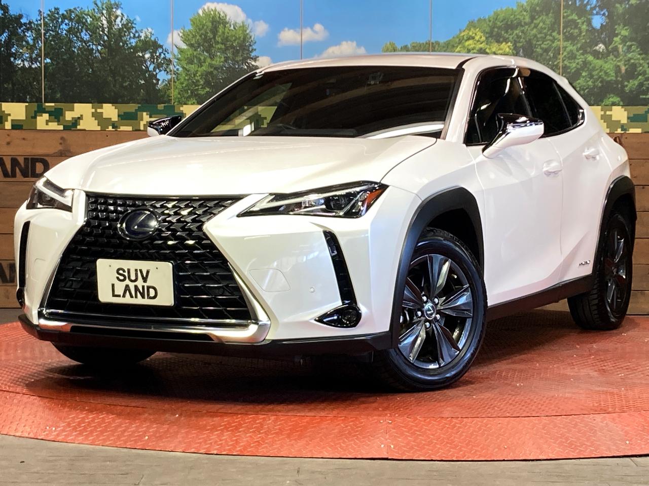2019 Lexus UX Hybrid UX250h VERSION C