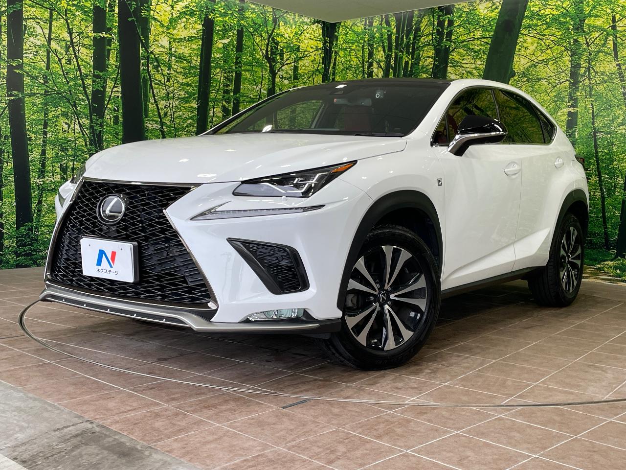 2018 Lexus NX NX300 F Sport