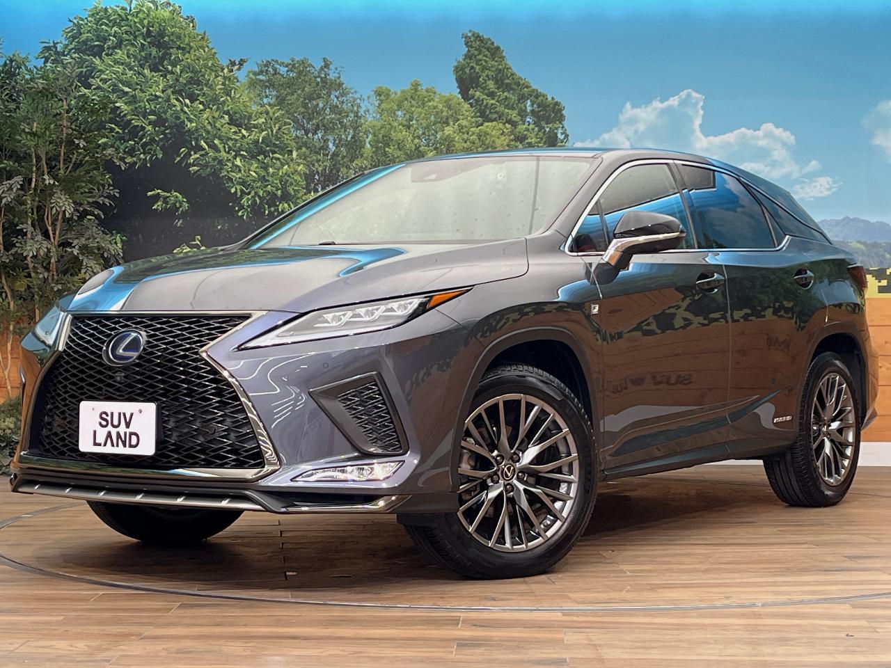 2022 Lexus RX Hybrid RX450h F SPORT