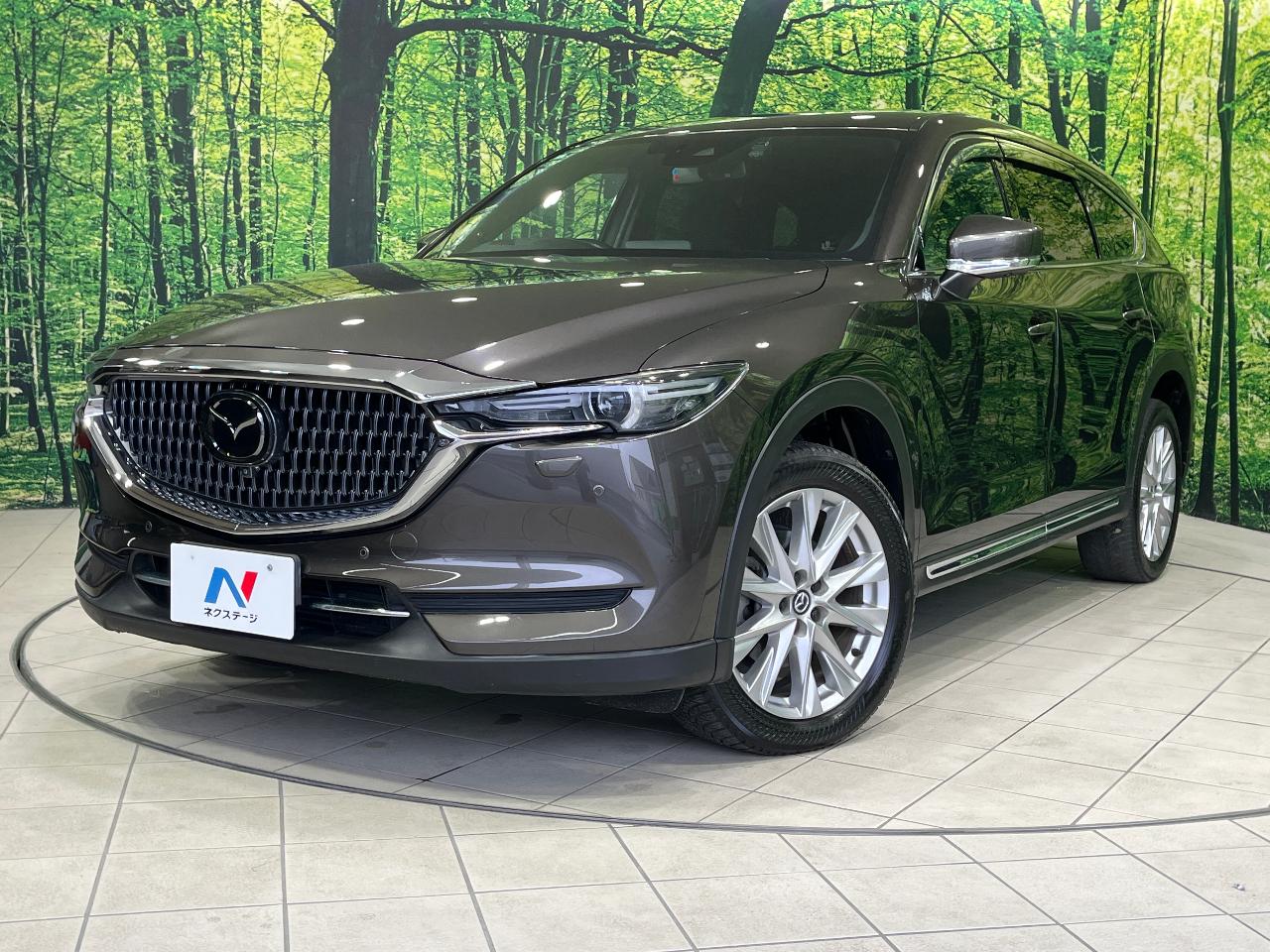 2018 Mazda CX-8 XD Proactive