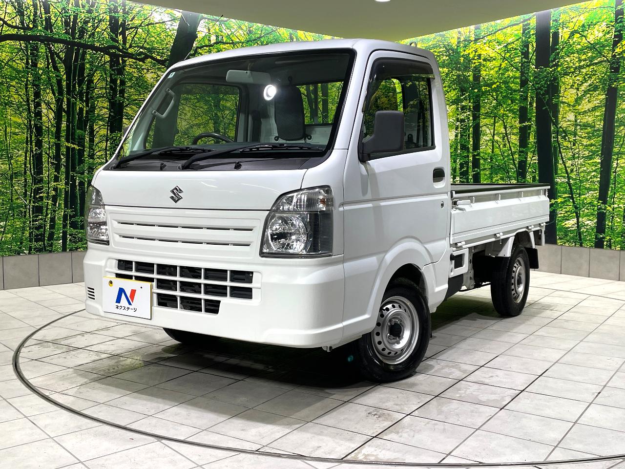 2013 Suzuki Carry Truck KC Power Steering