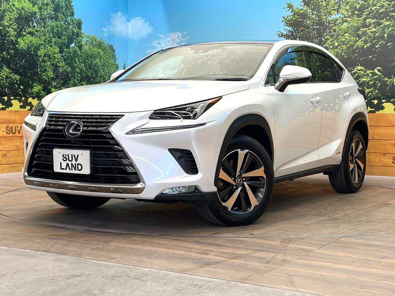 2021 Lexus NX Hybrid NX300h Version L