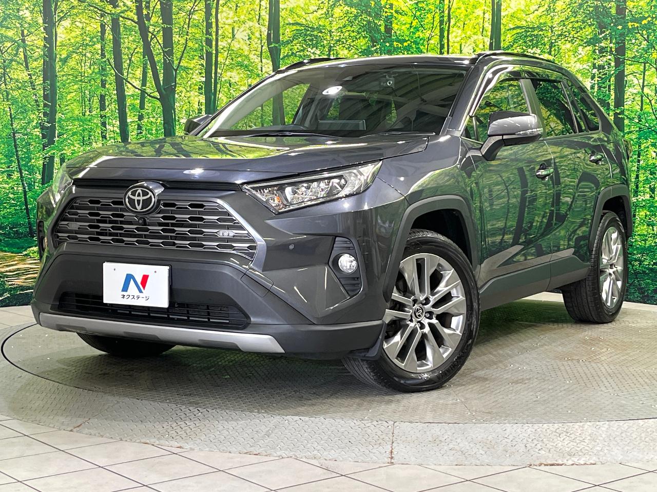 2021 Toyota RAV4 5D G Z Package