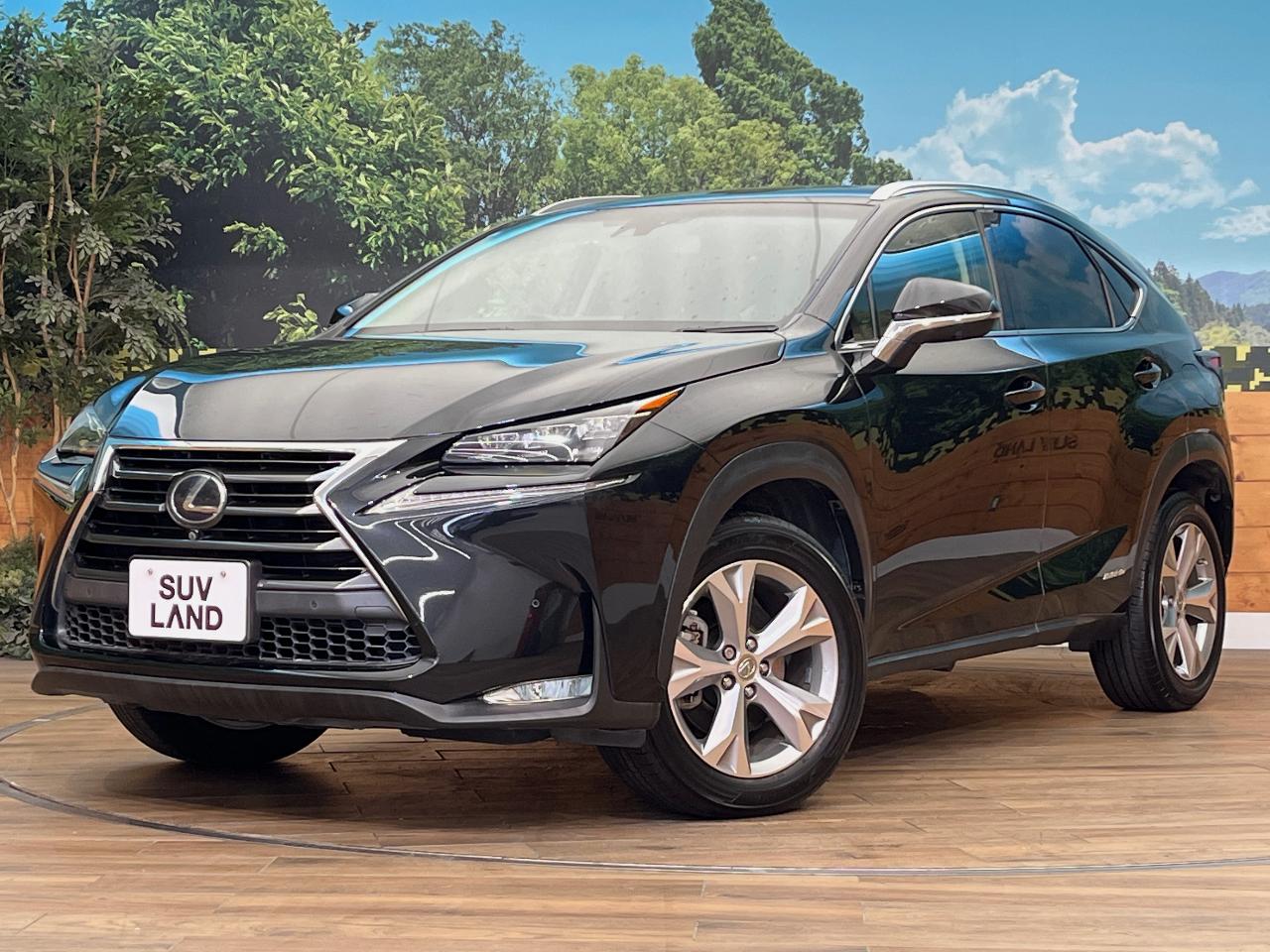 2015 Lexus NX Hybrid NX300h Version L
