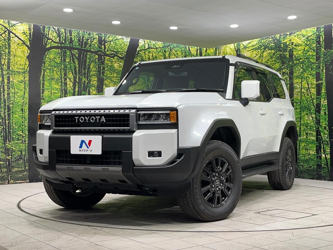 2025 Toyota LandCruiser 250 VX