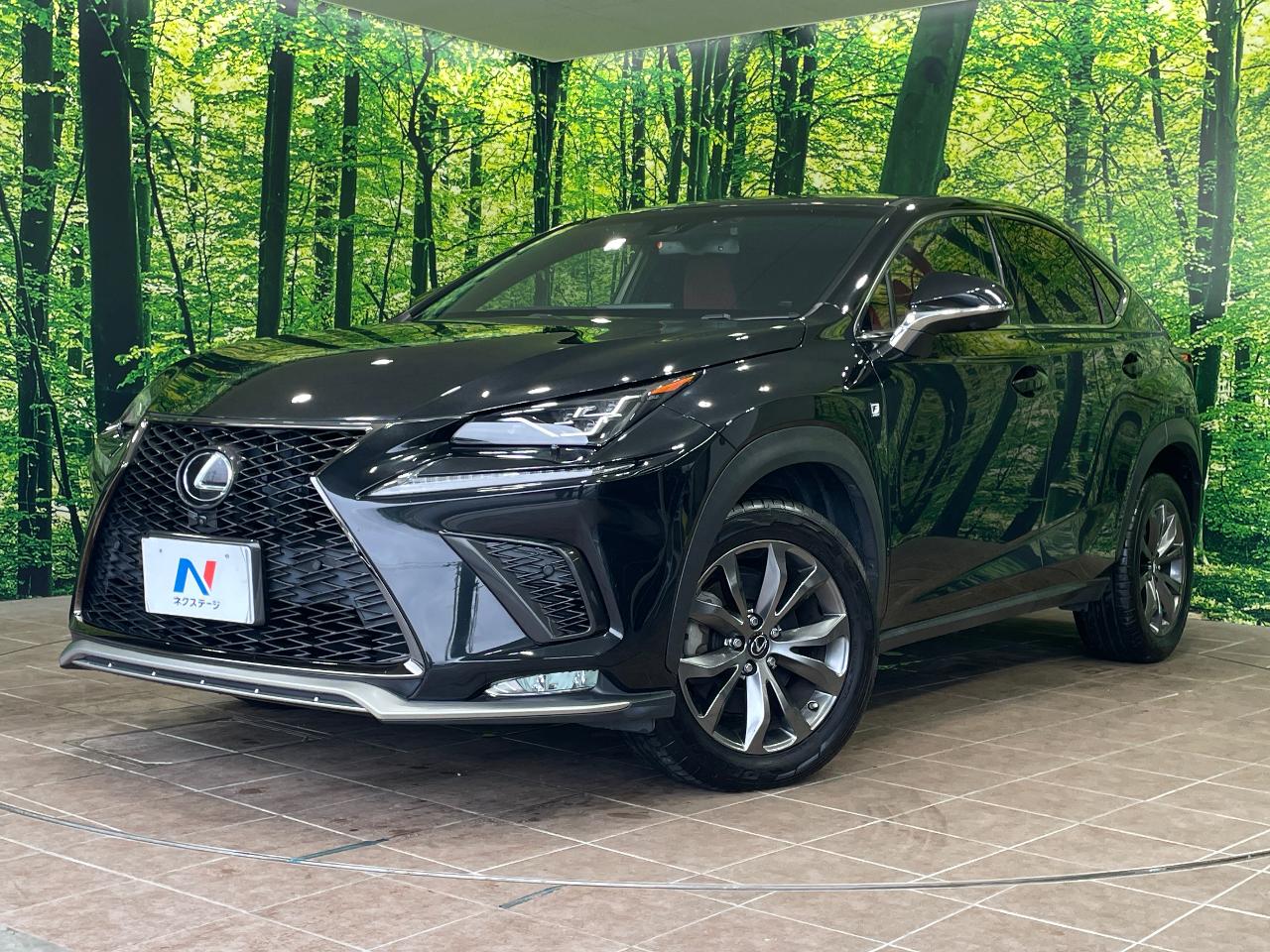 2017 Lexus NX NX300 F Sport