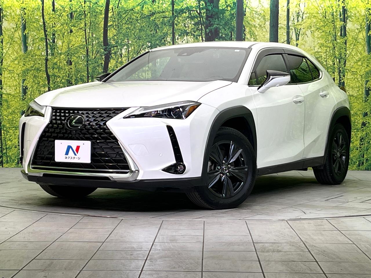 2023 Lexus UX Hybrid UX250h VERSION C