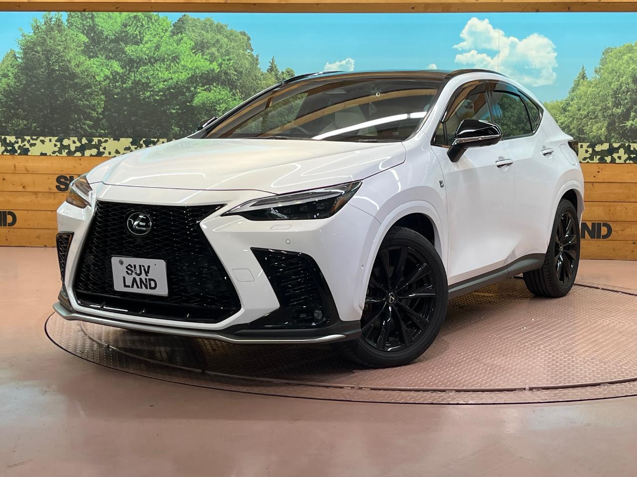 2022 Lexus NX Hybrid NX350h F Sport