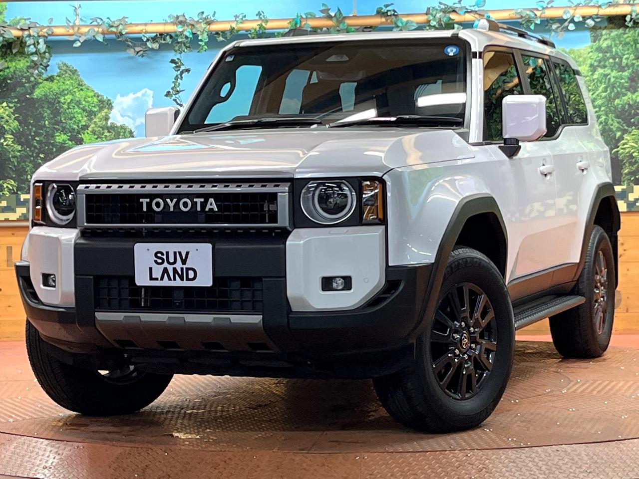 2025 Toyota LandCruiser 250 VX