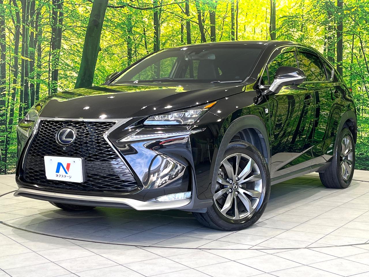 2015 Lexus NX Hybrid NX300h F SPORT
