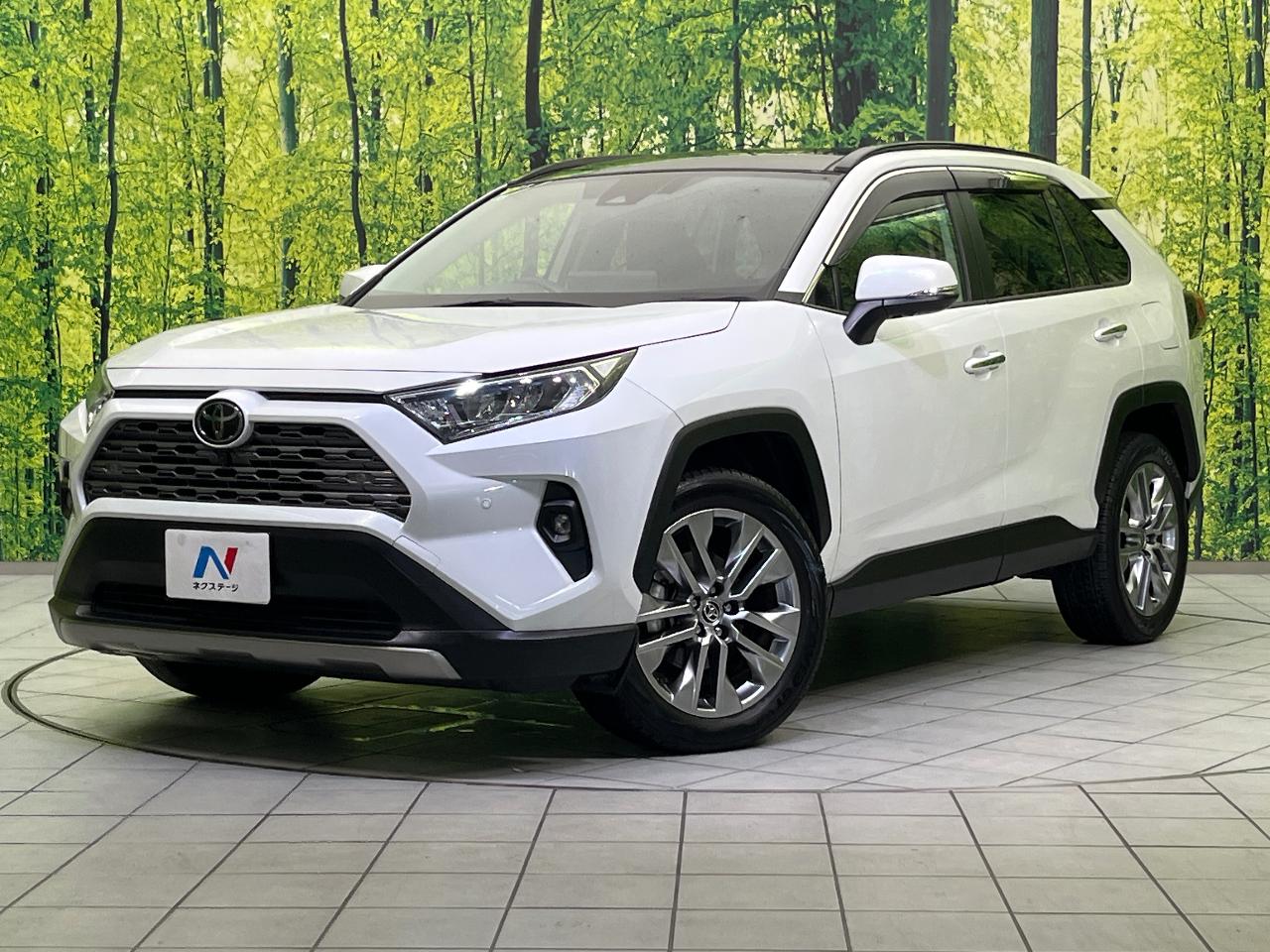 2024 Toyota RAV4 5D G Z Package