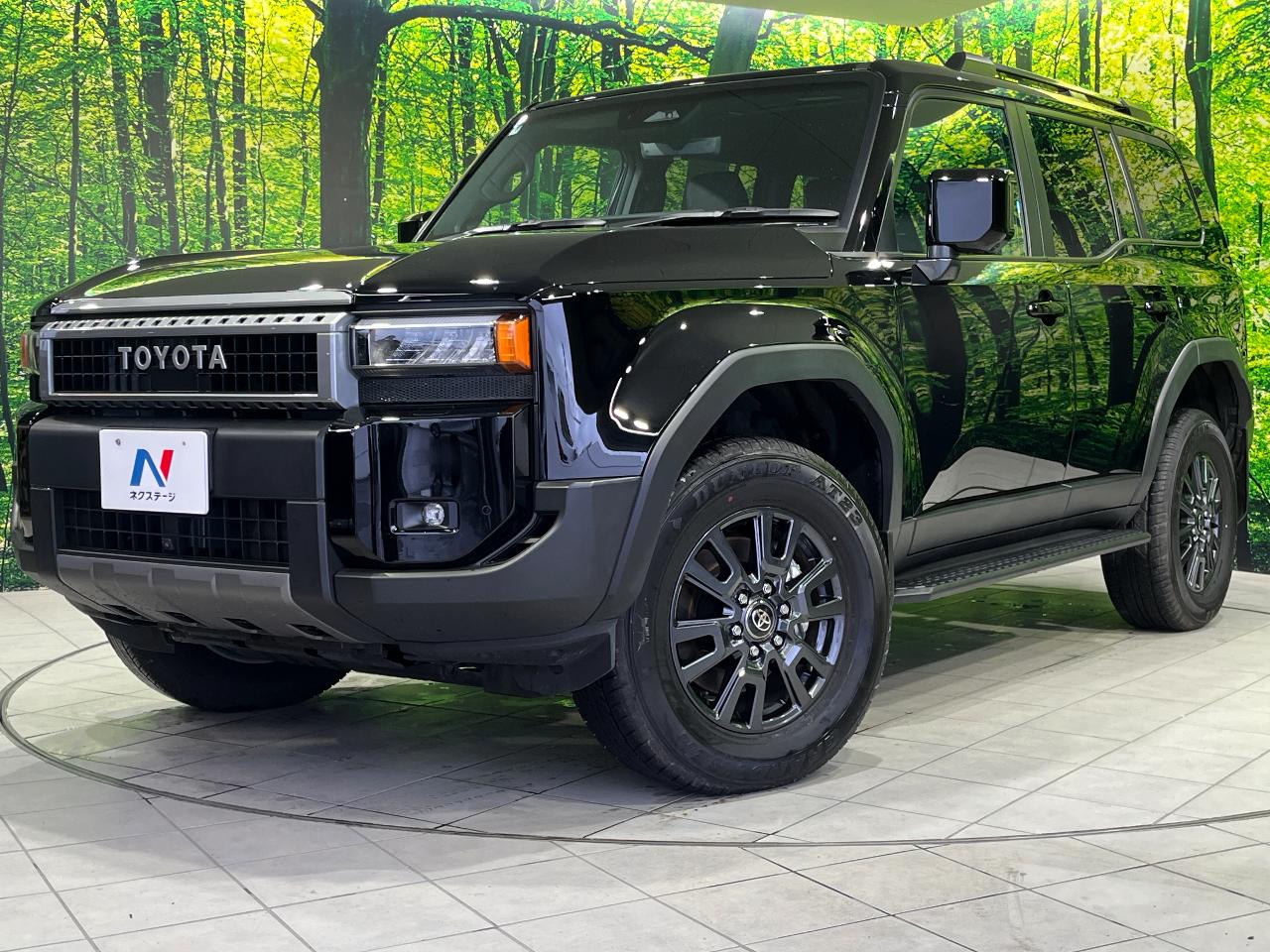 2025 Toyota LandCruiser 250 VX