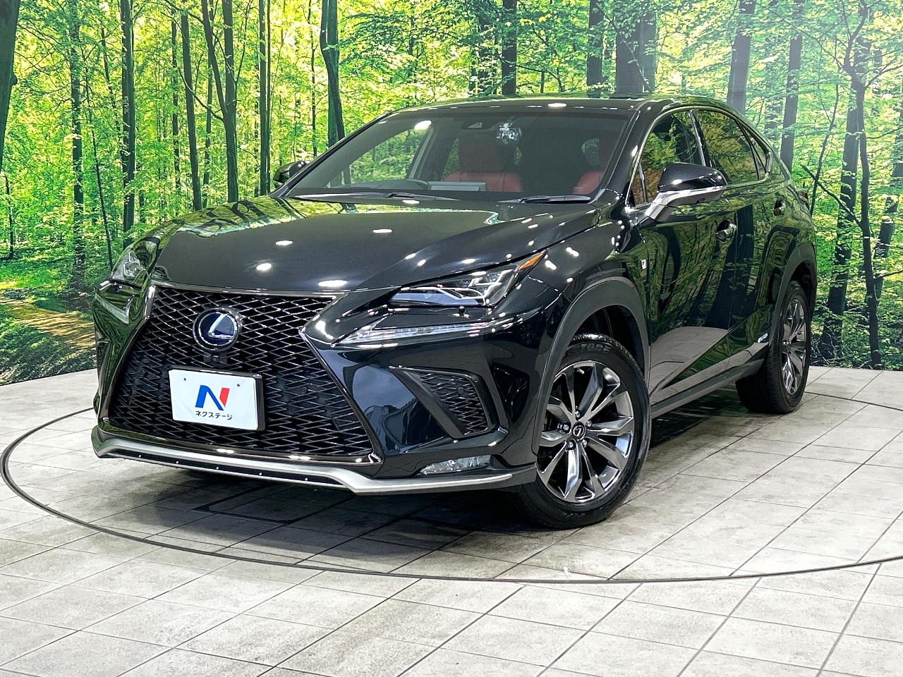 2019 Lexus NX Hybrid NX300h F SPORT