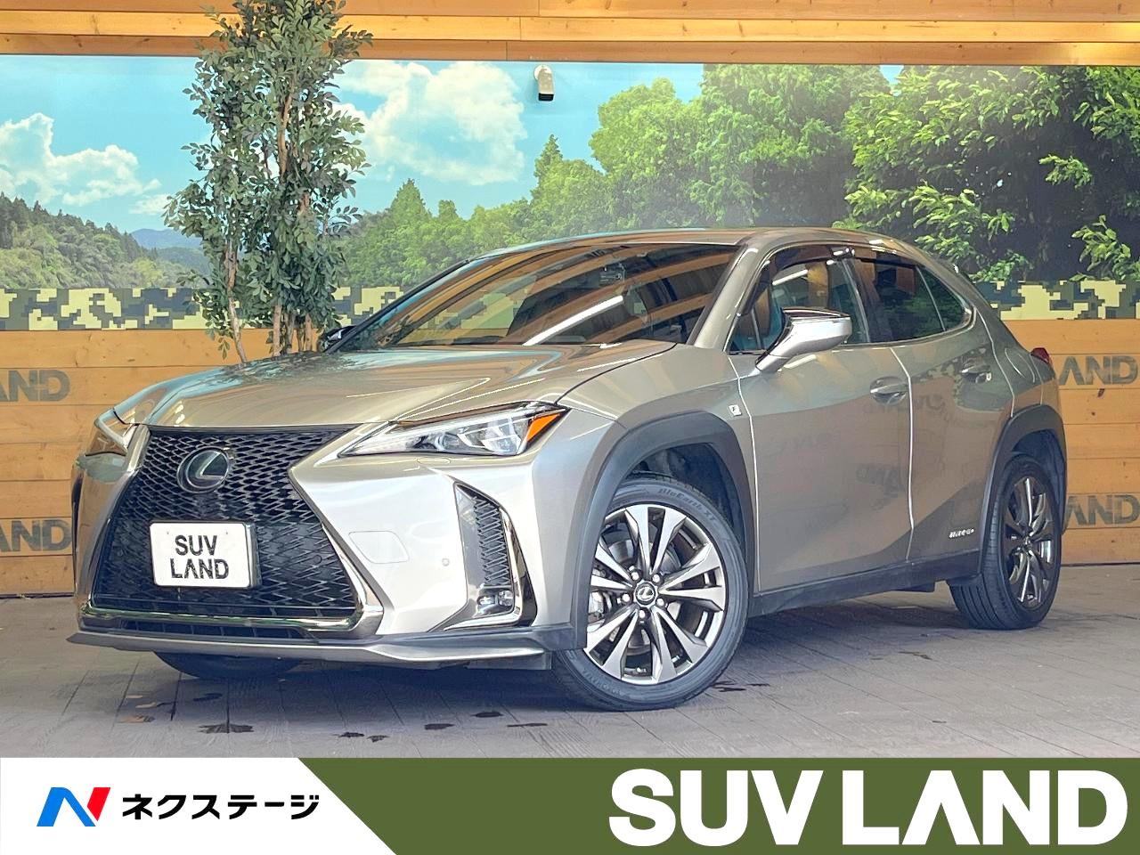 2019 Lexus UX Hybrid UX250h F SPORT